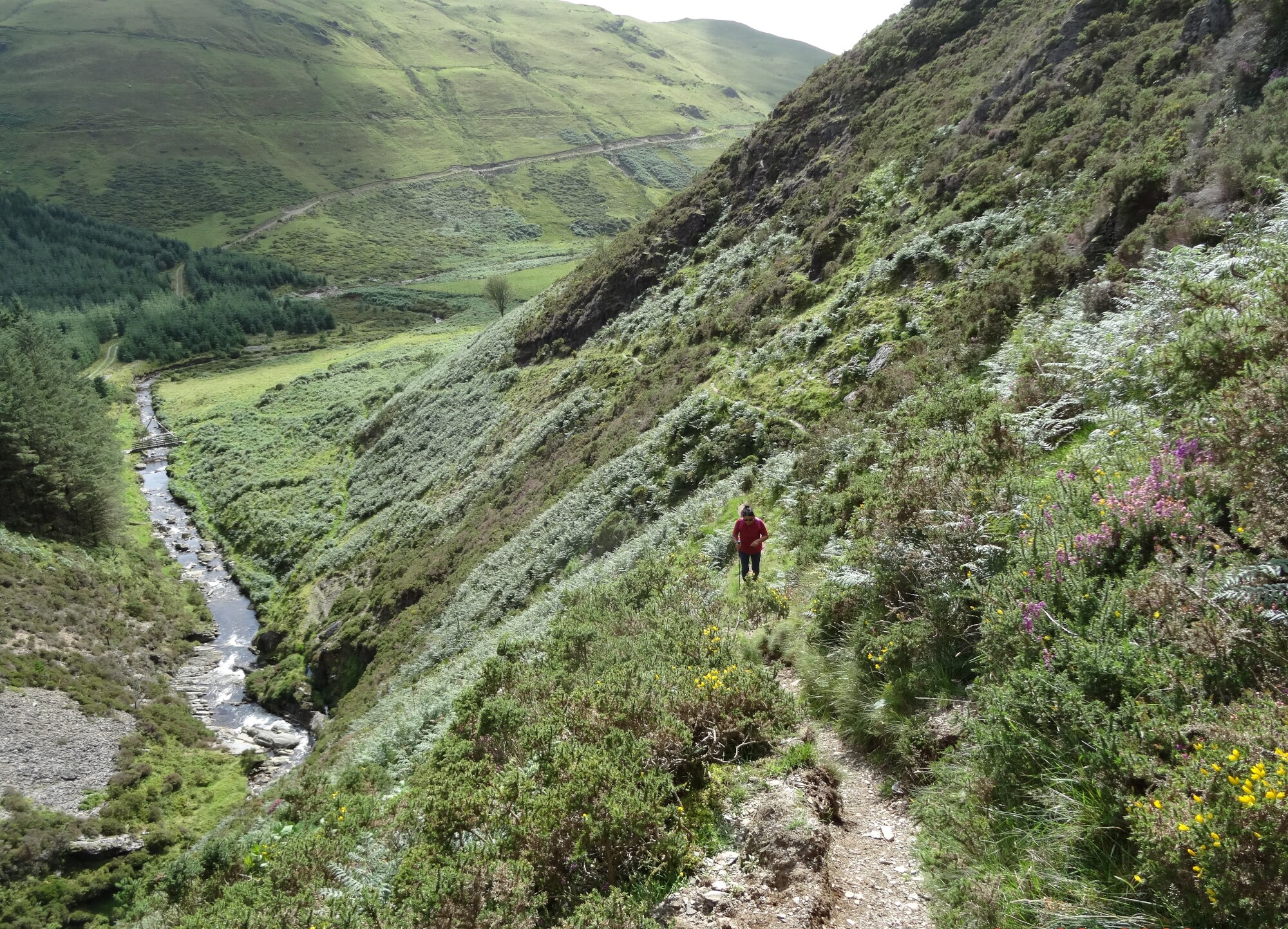 RachelSeabrook.net | Wild Walking | Craig y Pistyll | pic18